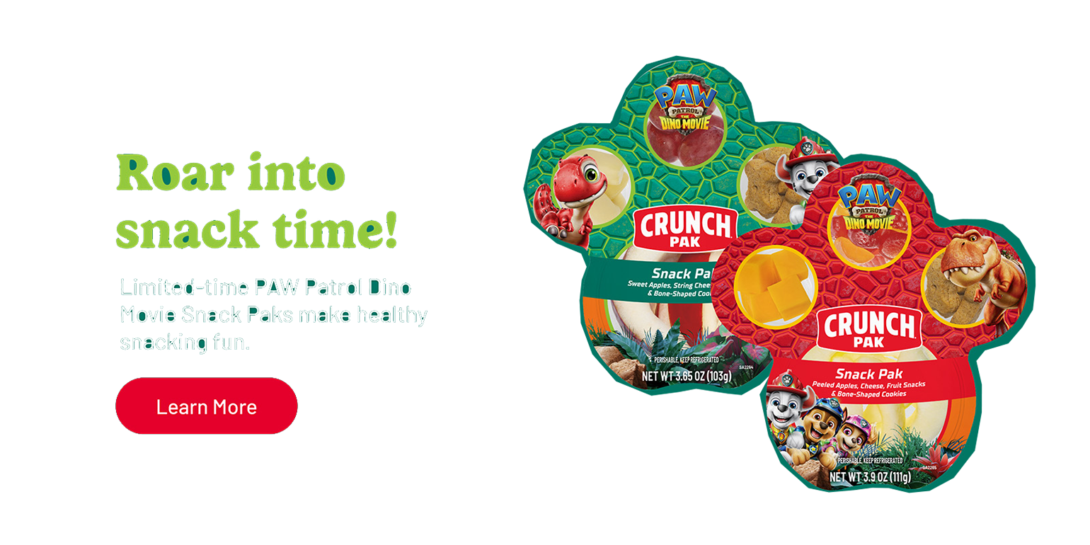 roar into snack time banner
